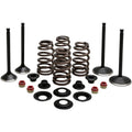 Kibblewhite Complete Valve Kit - Evolution/1200 | 20-22850