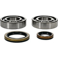 All Balls Crankshaft Bearing & Seal Kit | 24-1129