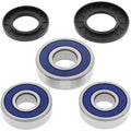 All Balls Wheel Bearing Kit - Double Seal - Rear | 25-1358