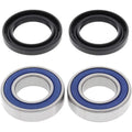 All Balls Wheel Bearing Kit - Double Seal - Front | 25-1378