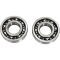 Hot Rods Counter Balancer Bearing Kit | BBK0020