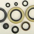 Vertex Oil Seal Set | 822104