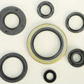 Vertex Oil Seal Set | 822126