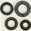 Vertex Oil Seal Set | 822163