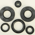 Vertex Oil Seal Set | 822290