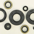 Vertex Oil Seal Set | 822293