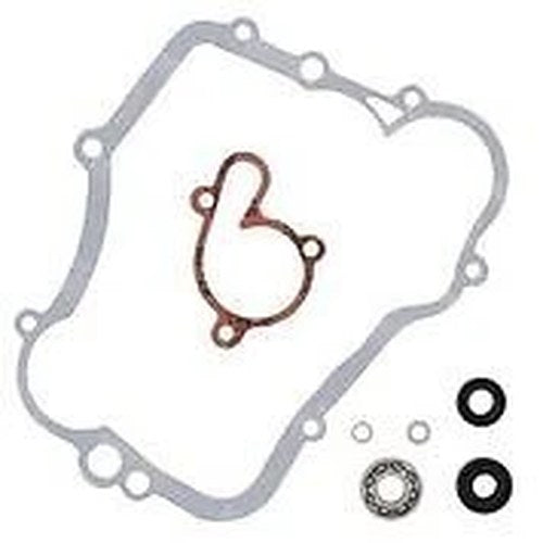 Vertex Water Pump Rebuild Kit | 821614
