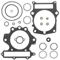 Vertex Top End Gaskets | 810685