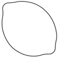 Vertex Clutch Cover Gasket | 817507