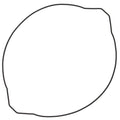 Vertex Clutch Cover Gasket | 817685