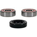 All Balls Rear Wheel Bearing Kit | 25-1645