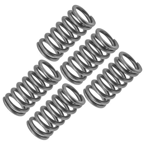 Clutch Pressure Springs for Honda CB300F 2015-2018 / 22401-K33-D01 / Qty 5