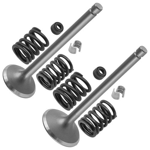 Caltric Intake & Exhaust Valve Kit For Kawasaki KLR250 1983-1984 / 12004-1123