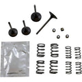 Wiseco Valve Kit | SVKB4406