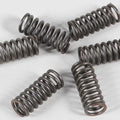 Ebc Csk Clutch Spring Kit CSK33