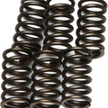 Ebc Csk Clutch Spring Kit CSK10