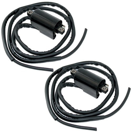 Set of 2 Ignition Coil for Suzuki GSF1200S Bandit 1200 1997 1998 1999 2000-2005
