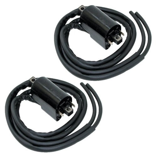Set of 2 Ignition Coil for Suzuki GSX750F GSX750 F Katana 750 1989 1990-2006