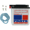 Parts Unlimited 12V Heavy-Duty Battery YB3L-A (RCB3L-A)