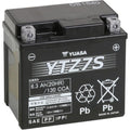 Yuasa Factory-Activated High Performance Maintenance-Free Agm Battery (YTZ7S)