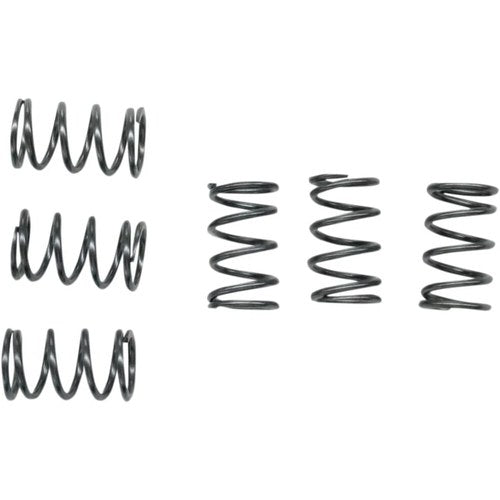 Ebc Csk Clutch Spring Set (CSK40)