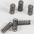 Ebc Csk Clutch Spring Set (CSK39)