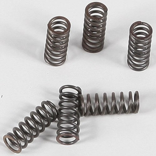 Ebc Csk Clutch Spring Set (CSK39)
