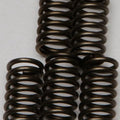 Ebc Csk Clutch Spring Set (CSK137)