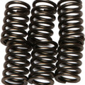 Ebc Csk Clutch Spring Set (CSK64)