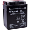Yuasa Fresh Pack High Performance Maintenance-Free Agm Battery (YTX14AH-BS)