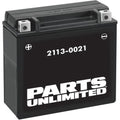 Parts Unlimited High-Performance Maintenance-Free Battery YTX20H-BS (2113-0021)