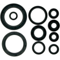 Moose Racing Engine Oil Seal Kit (M822178)