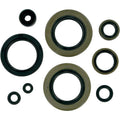 Moose Racing Engine Oil Seal Kit (M822104)