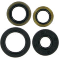 Moose Racing Engine Oil Seal Kit (0935-0078)
