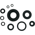 Moose Racing Engine Oil Seal Kit (0935-0113)