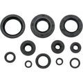 Moose Racing Engine Oil Seal Kit (0935-0043)