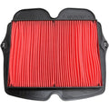 Hiflofiltro Replacement Air Filter | HFA1930