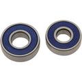 Moose Racing Wheel Bearing Kit - Double Lip - Rear - Cobra | 25-1681