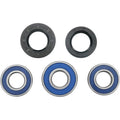 Moose Racing Wheel Bearing Kit - Double Lip | 25-1066