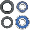 Moose Racing Wheel Bearing Kit - Double Lip - Rear - Ttr | 25-1201
