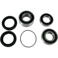 Pivot Works Wheel Bearing and Seal Kit - Double Seal - Rear | PWRWS-H14-000