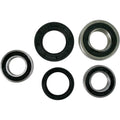 Pivot Works Wheel Bearing and Seal Kit - Double Seal - Rear | PWRWS-S05-000