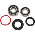 Pivot Works Wheel Bearing and Seal Kit - Double Seal - Rear | PWRWK-H06-520