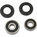 Pivot Works Wheel Bearing and Seal Kit - Double Seal - Rear | PWRWK-K12-006