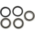 Pivot Works Wheel Bearing and Seal Kit - Double Seal - Rear | PWRWK-K13-021