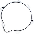 Cometic Primary Gasket 25700455 | C10211