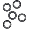 Cometic Seal 11000101 - 5 Pack | C10213