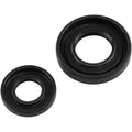Prox Crankshaft Oil Seal Kit | 42.2321
