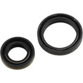Prox Crankshaft Oil Seal Kit | 42.3219