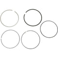 Moose Racing Piston Ring Set - Moose - Standard | CPNG-2-3150